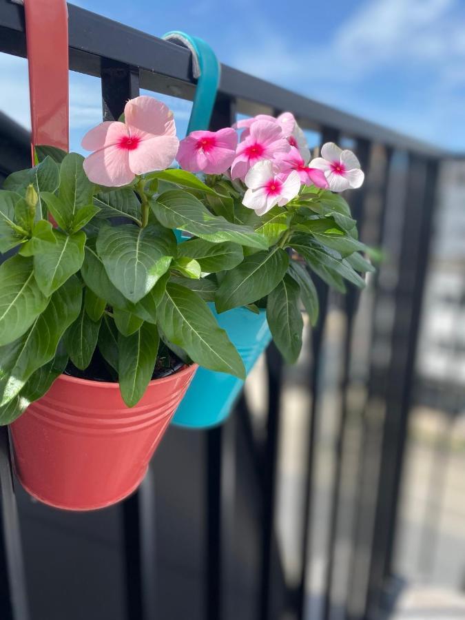 דירות Coxy Penthouse קוקסיידה מראה חיצוני תמונה